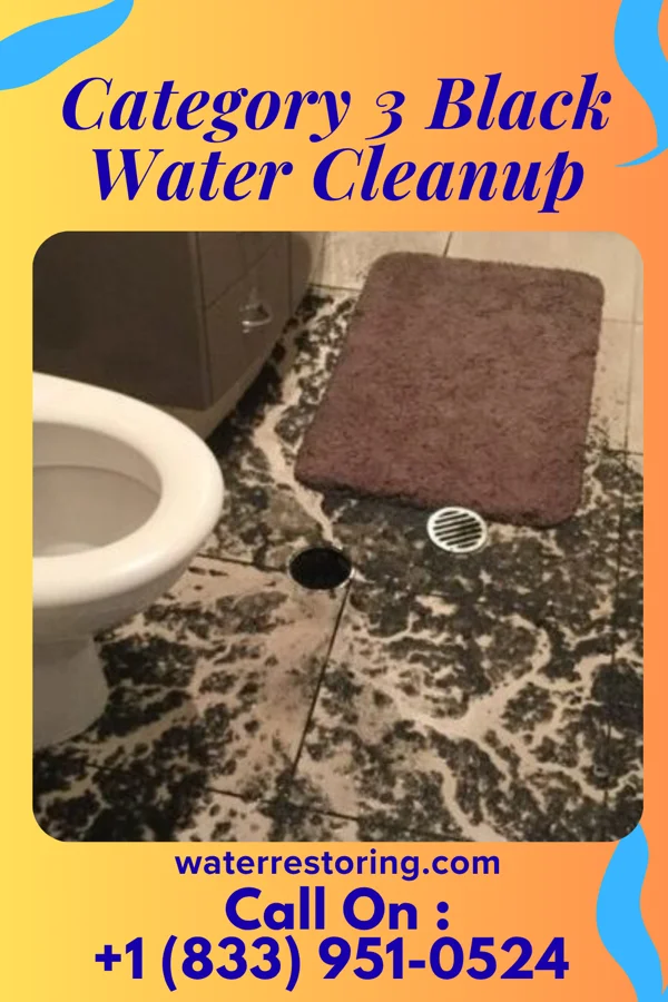 Category 3 Black Water Cleanup in Acushnet Center, MA