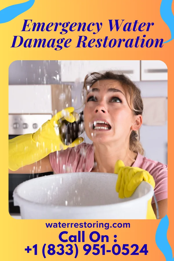 Emergency Water Damage Restoration in Acushnet Center, MA