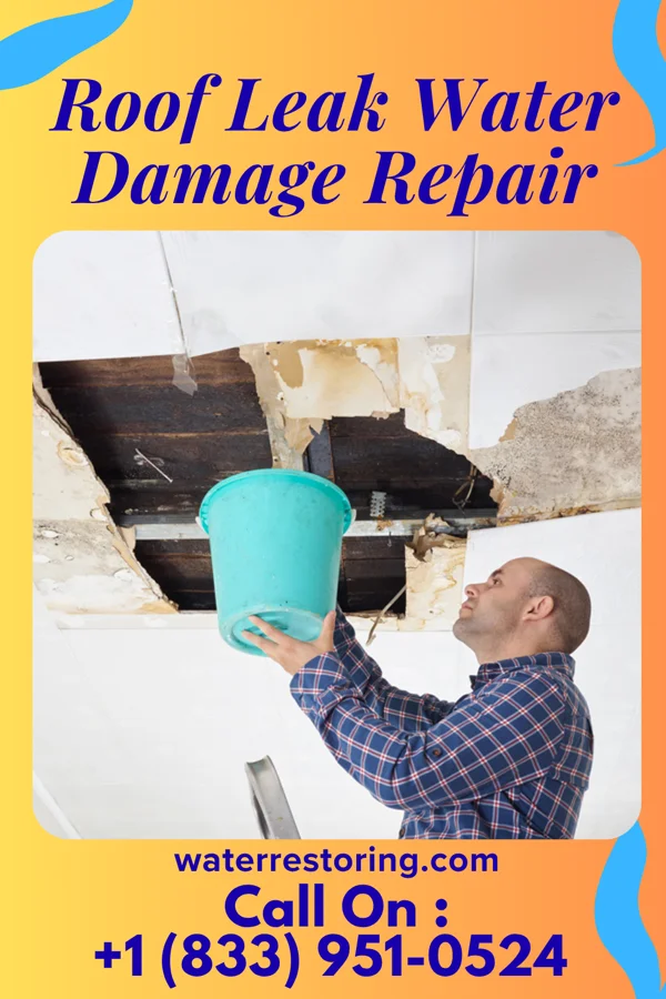 Roof Leak Water Damage Repair in Acushnet Center, MA