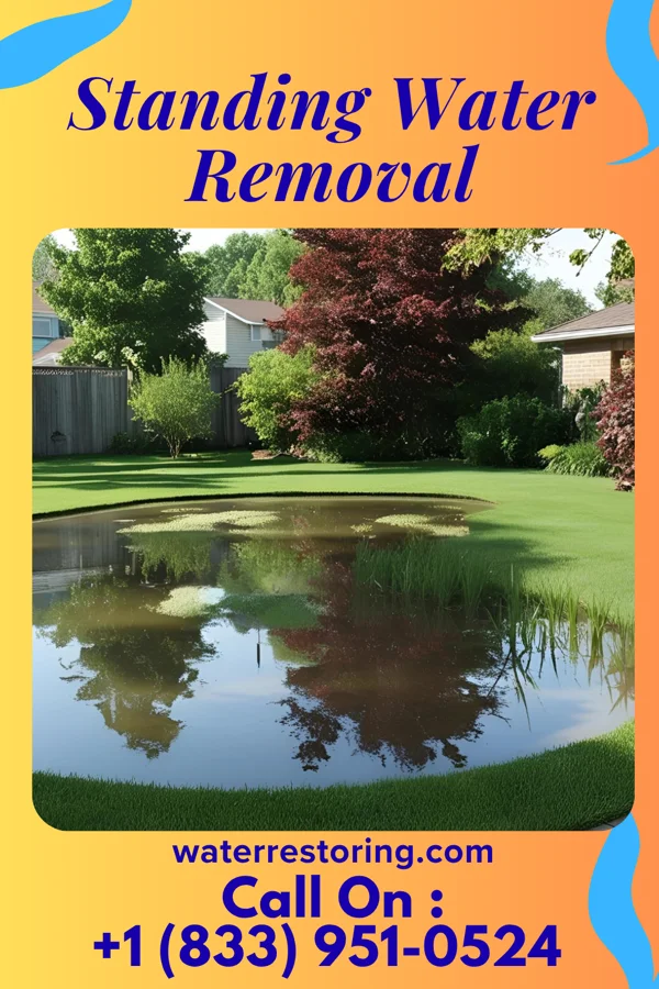 Standing Water Removal in Acushnet Center, MA